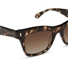 image:imageDIFF Bradley Designer Rectangular Sunglasses for Women and Men  Fashionable amp Trendy Style  100 UV ProtectionEspresso Tortoise