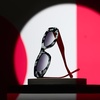 image:imageDIFF x Disney Villains Cruella De Vil Cat Eye Sunglasses Spotted Tortoise